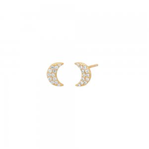 Mini Pave Moon Stud Earring