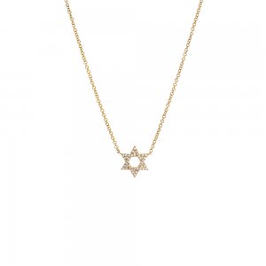 Diamond Pave Star Of David Necklace 14K