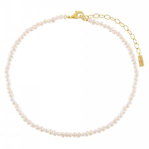 Tiny Pearl Anklet