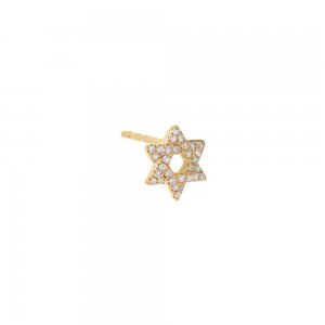 Mini Diamond Pave Star of David Stud Earring 14K