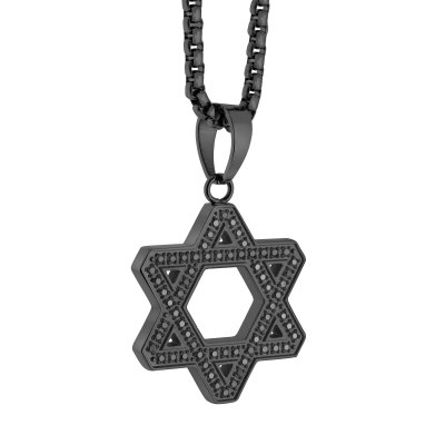 Black Steel Brushed Reversible Star David Black CZ Roundbox Chain