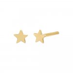 Itty Bitty Star Studs Earring 14K