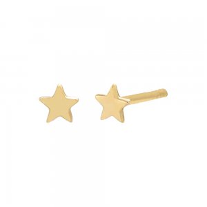 Itty Bitty Star Studs Earring 14K